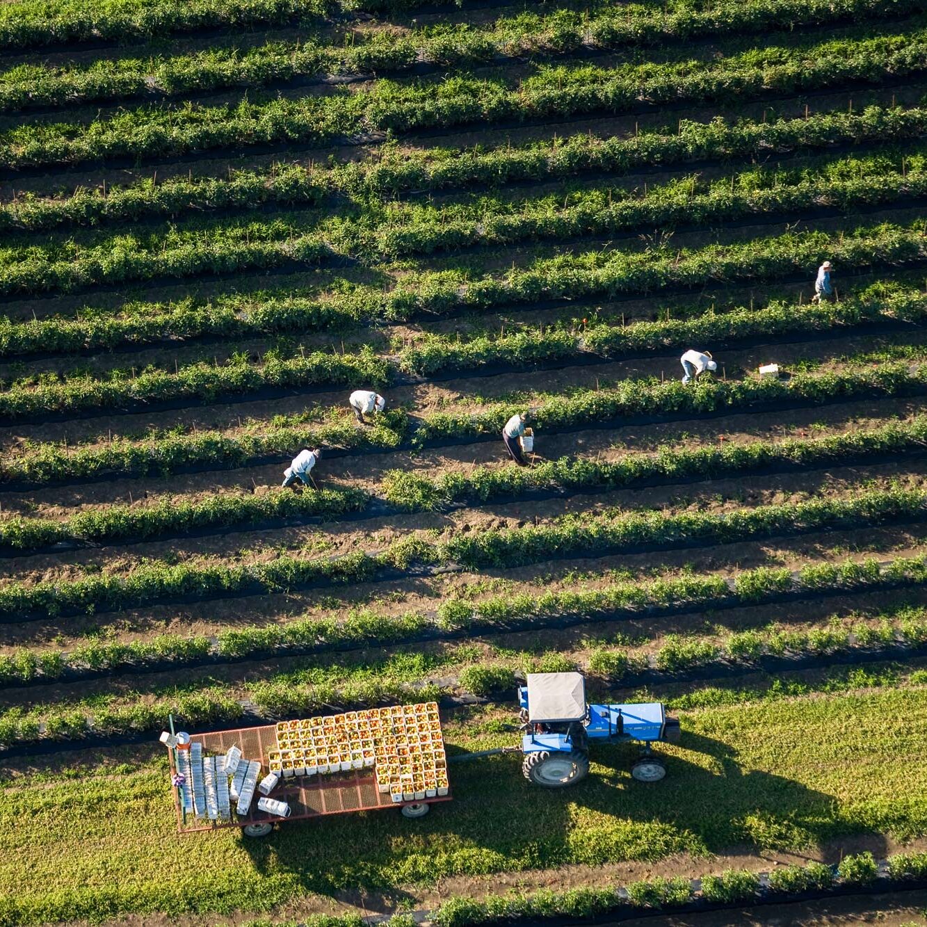 AdobeStock_478572205