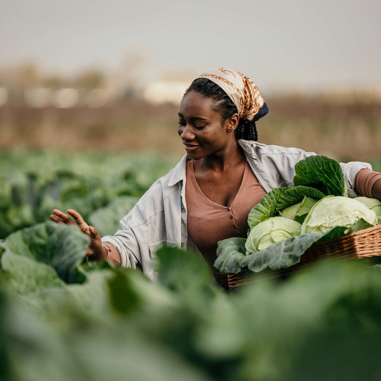 AdobeStock_554851864